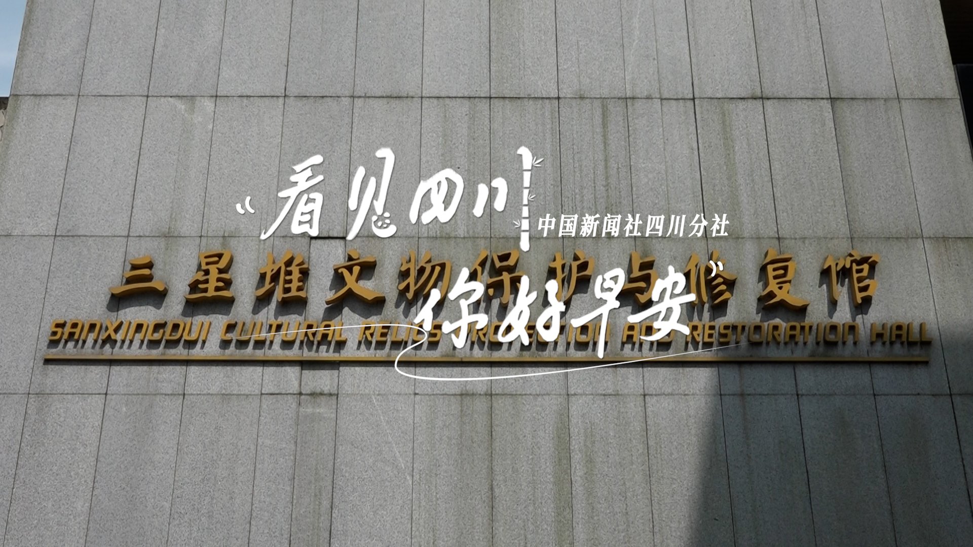 雅安雨城区茶山上的茶树正冒新芽