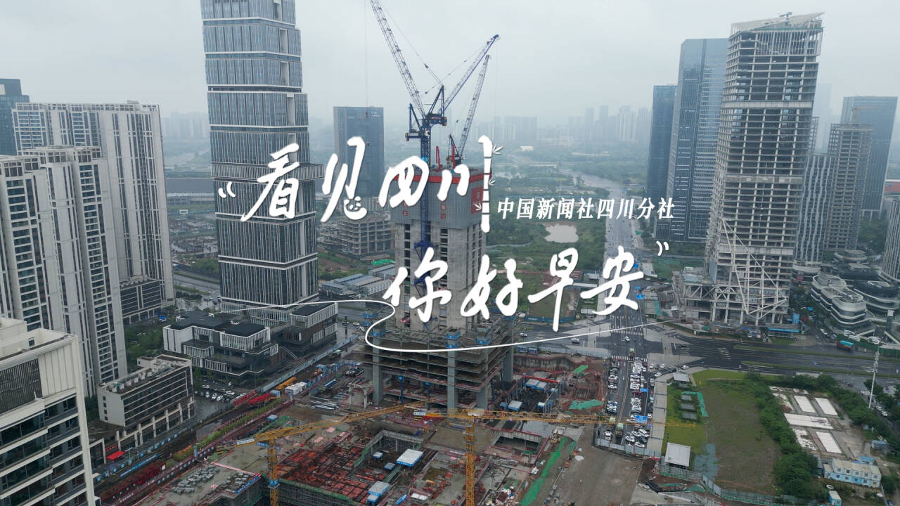 游客在花海中一边欣赏美景