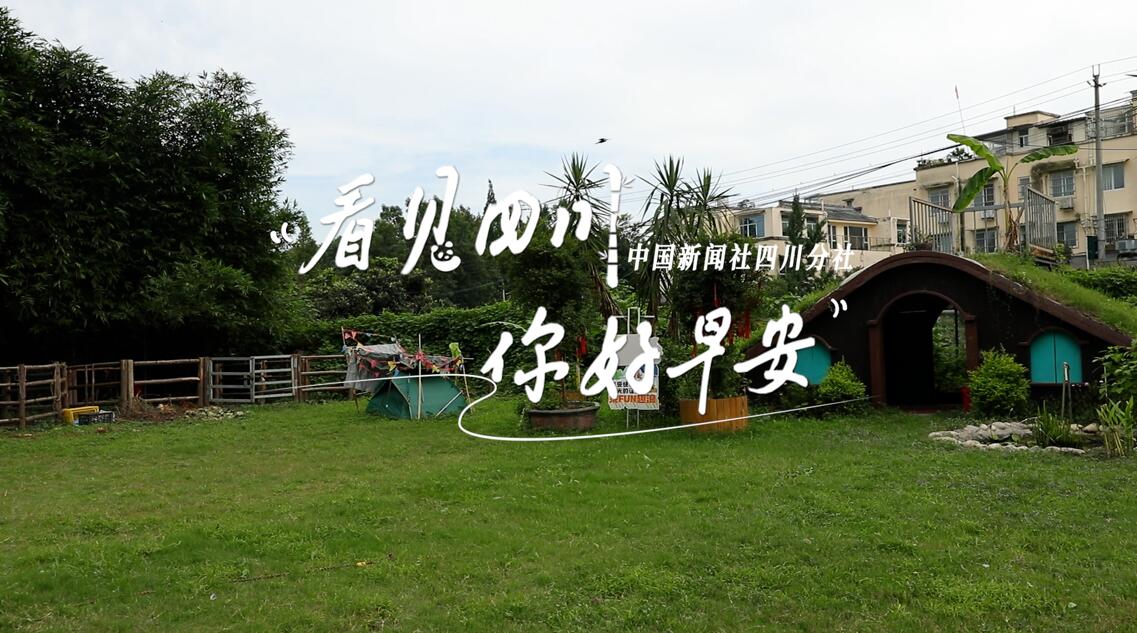 繁花缀满枝头