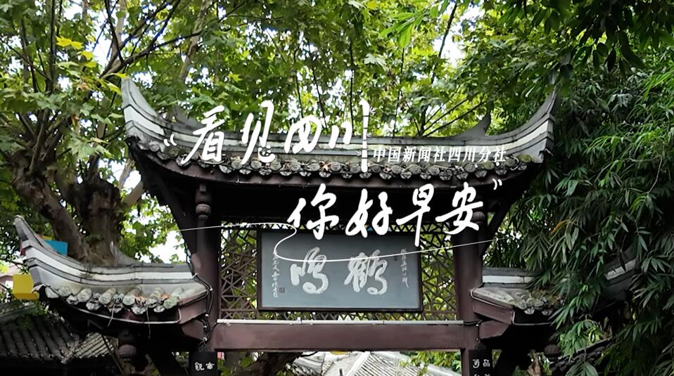不少游客慕名前来乘坐和踏青赏花