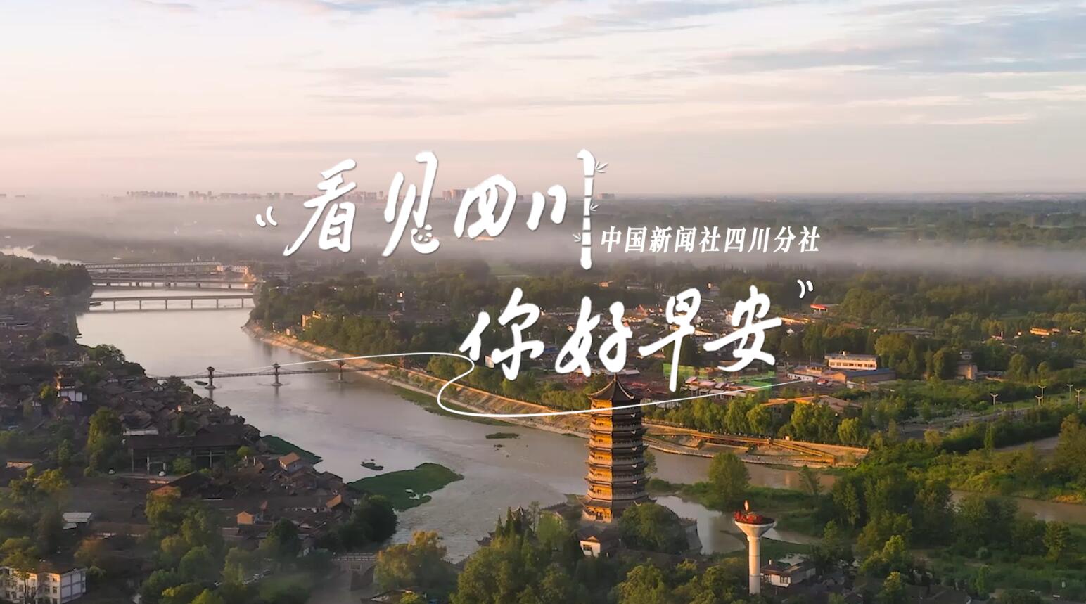 粉白花朵绽放在古寺院落
