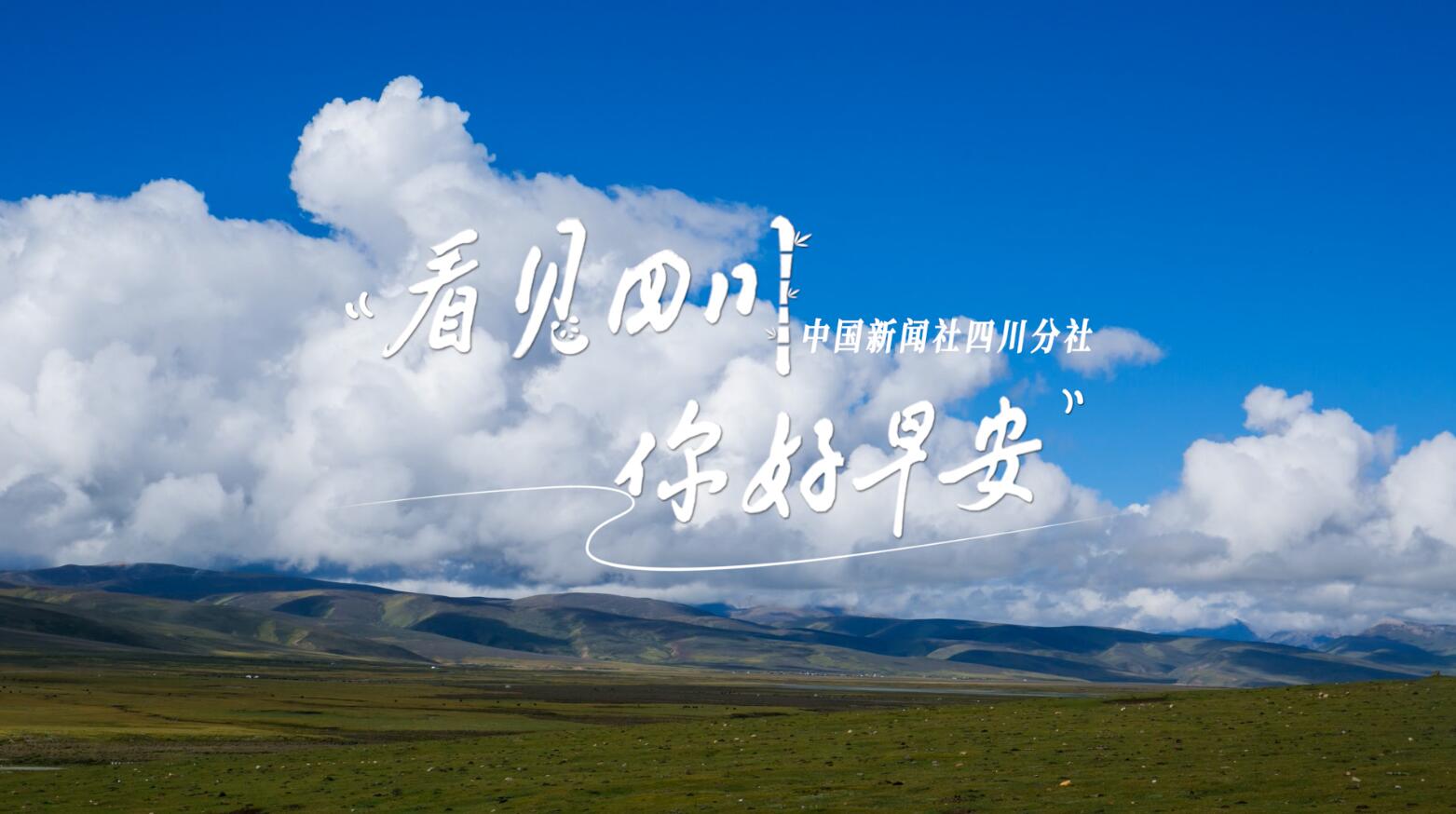 盈盈彩app下载限时优惠