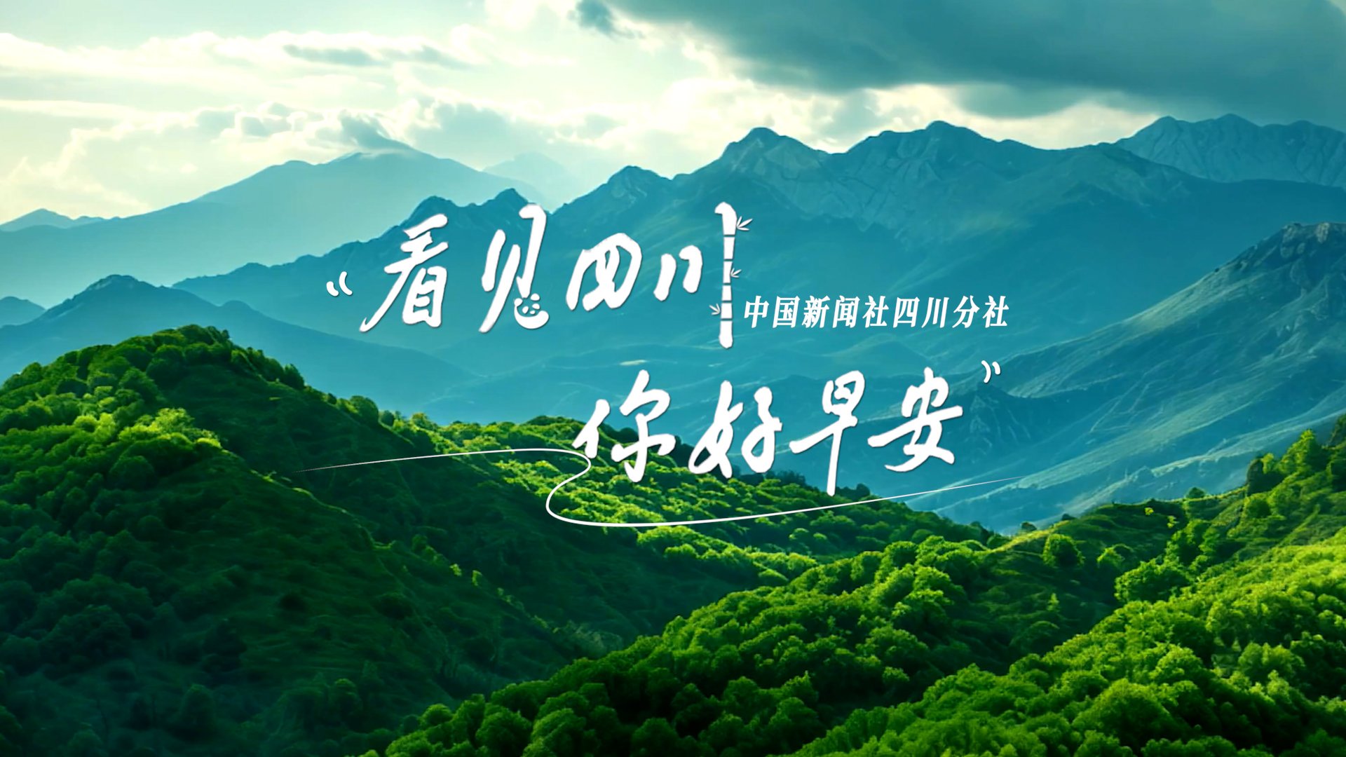 毛茸茸的