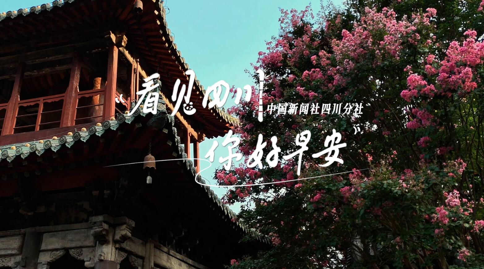 列车与盛放的油菜花构成一幅灵动的春日