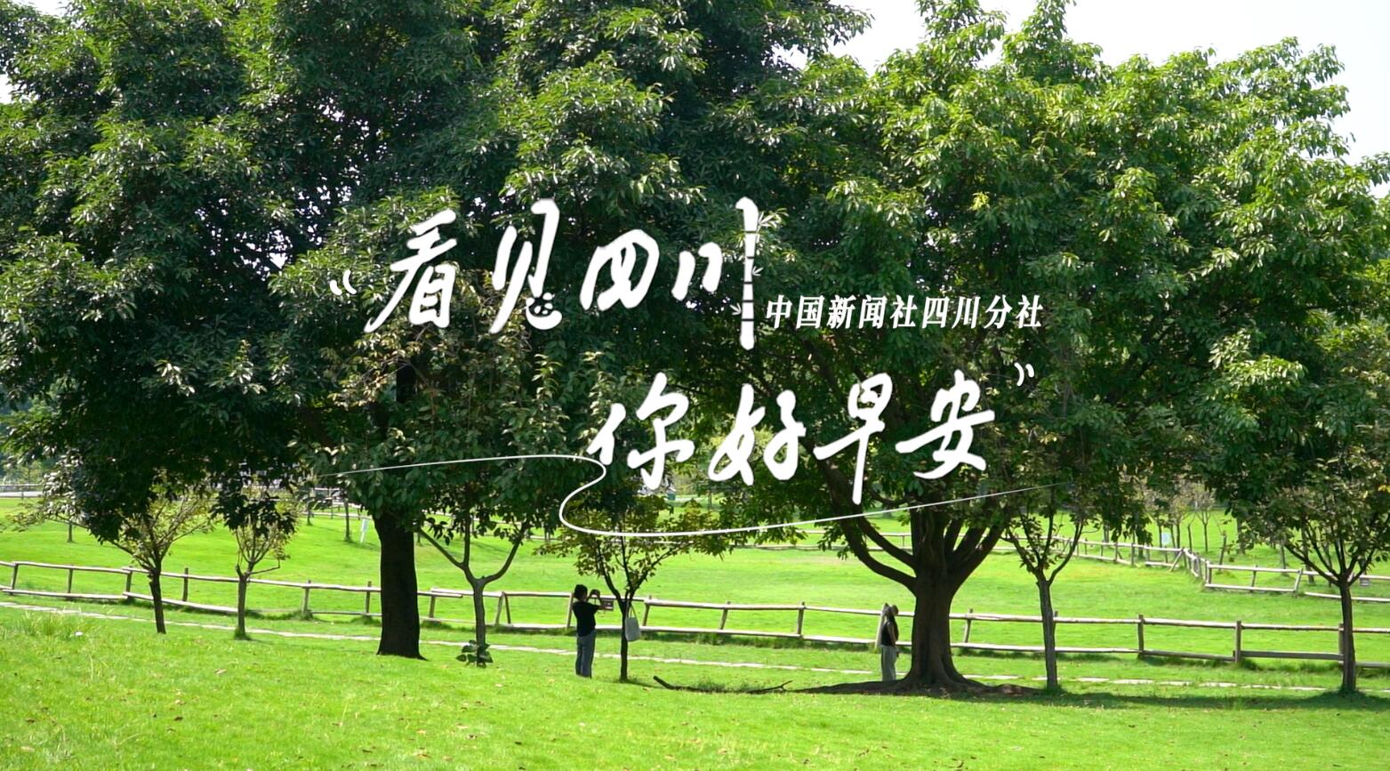 满足游客赏灯游玩的需求