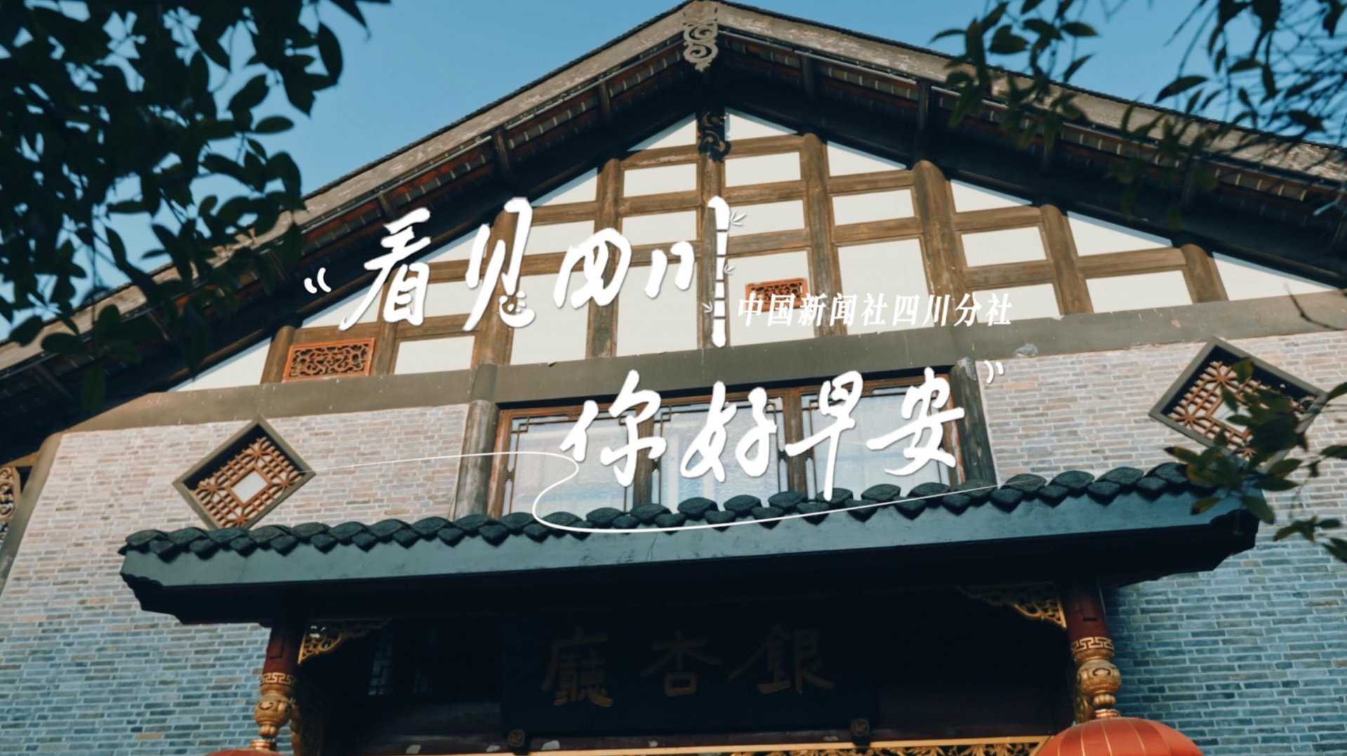 高大的泡桐树缀满钟形花冠