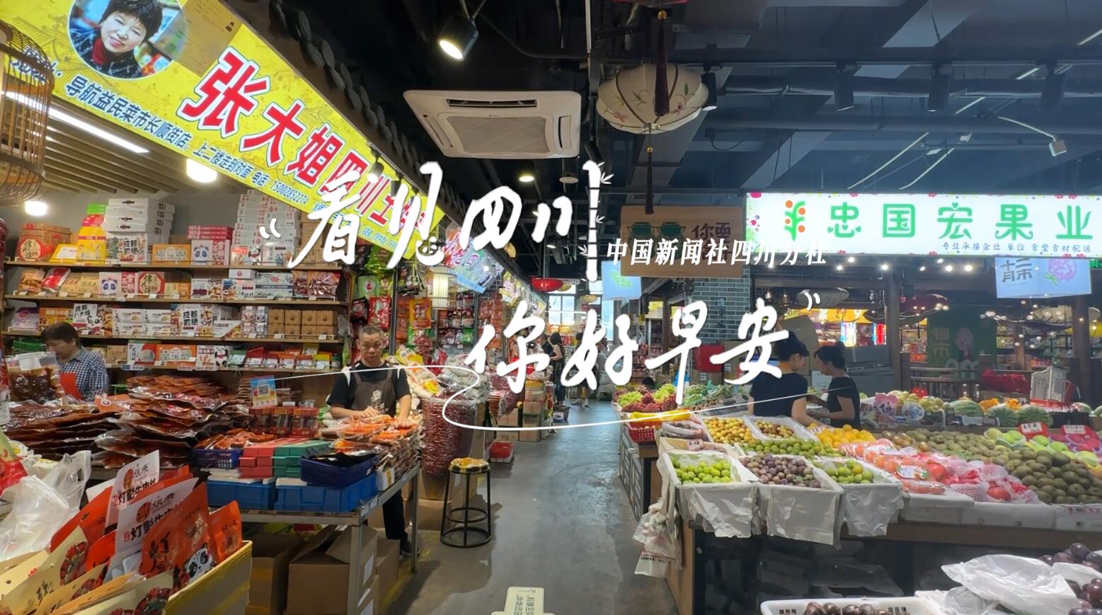 金山村温室大棚里黑褐饱满的羊肚菌破土