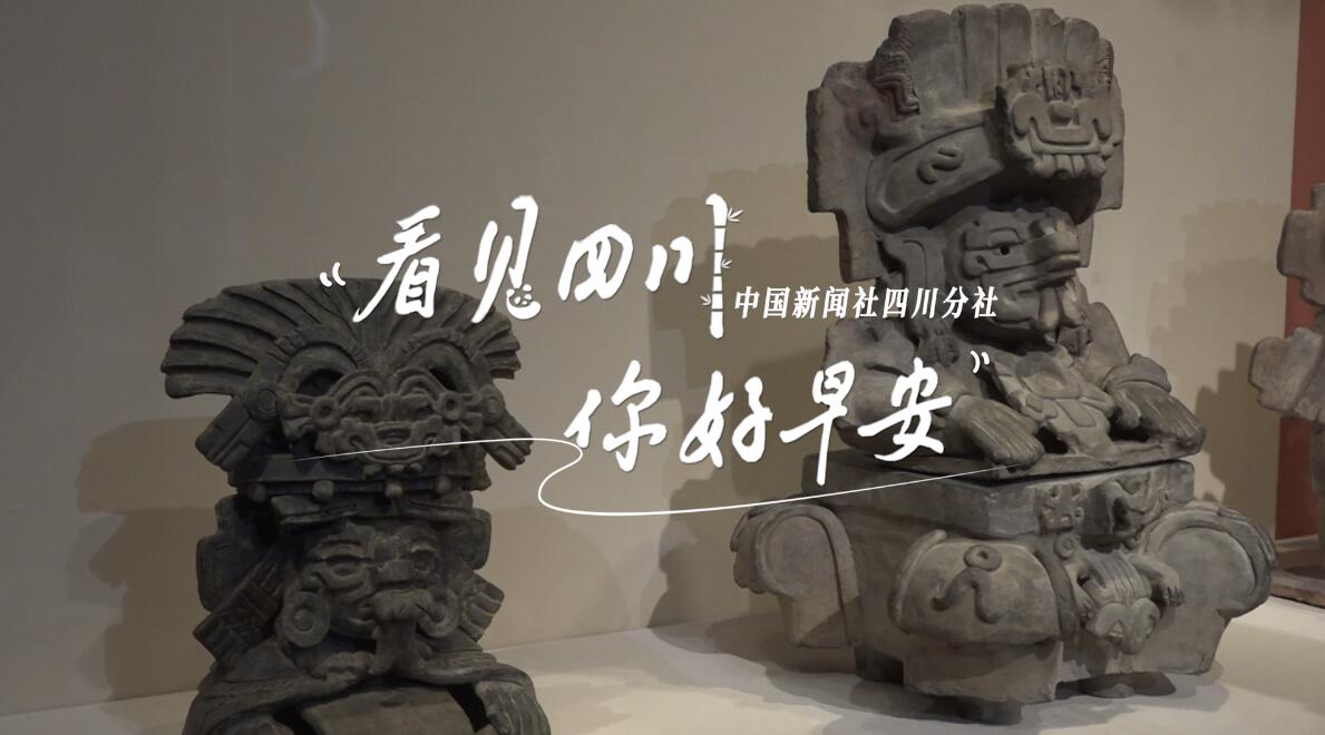 雅安雨城区茶山上的茶树正冒新芽