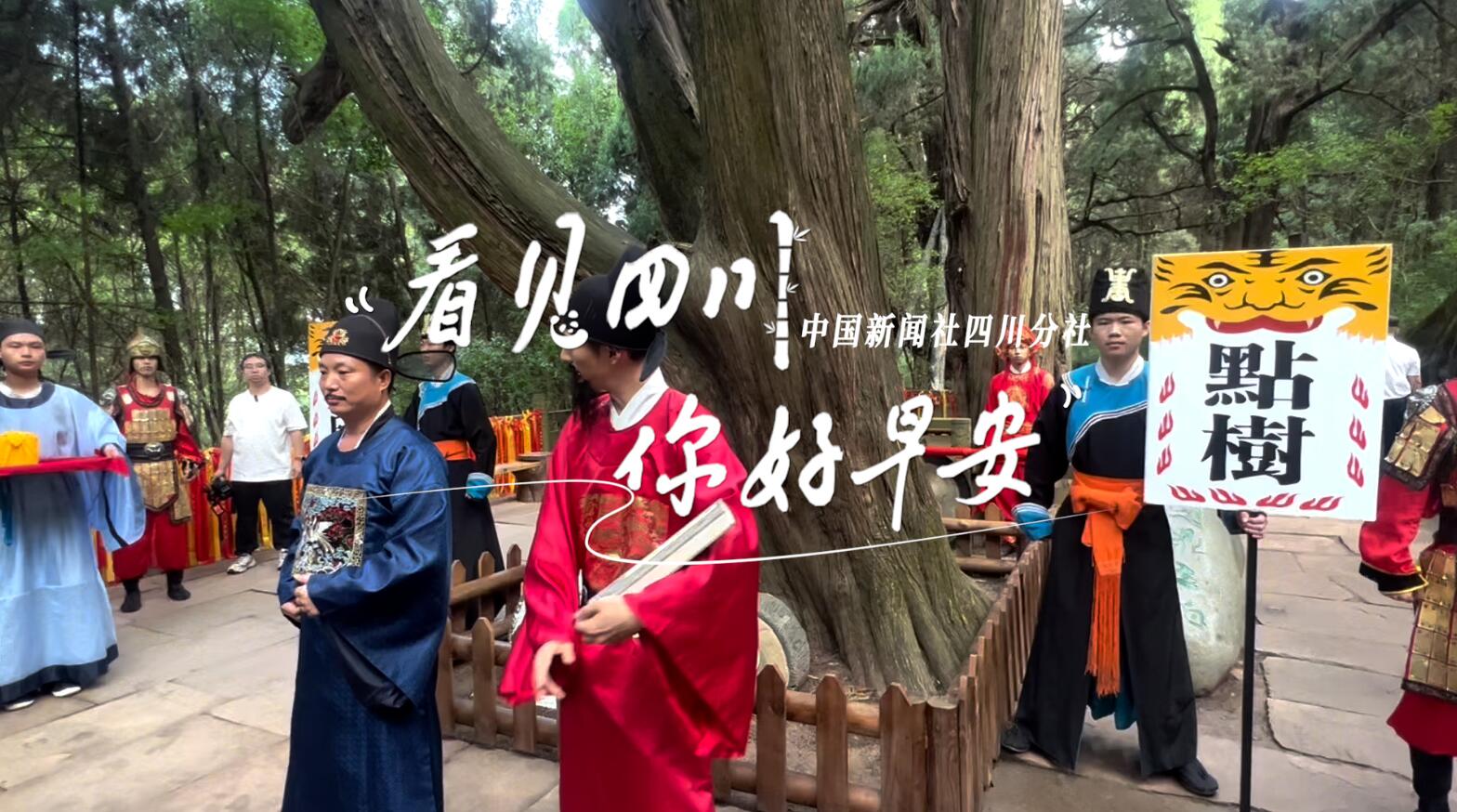 数十张火锅桌错落有致地摆放在花海中