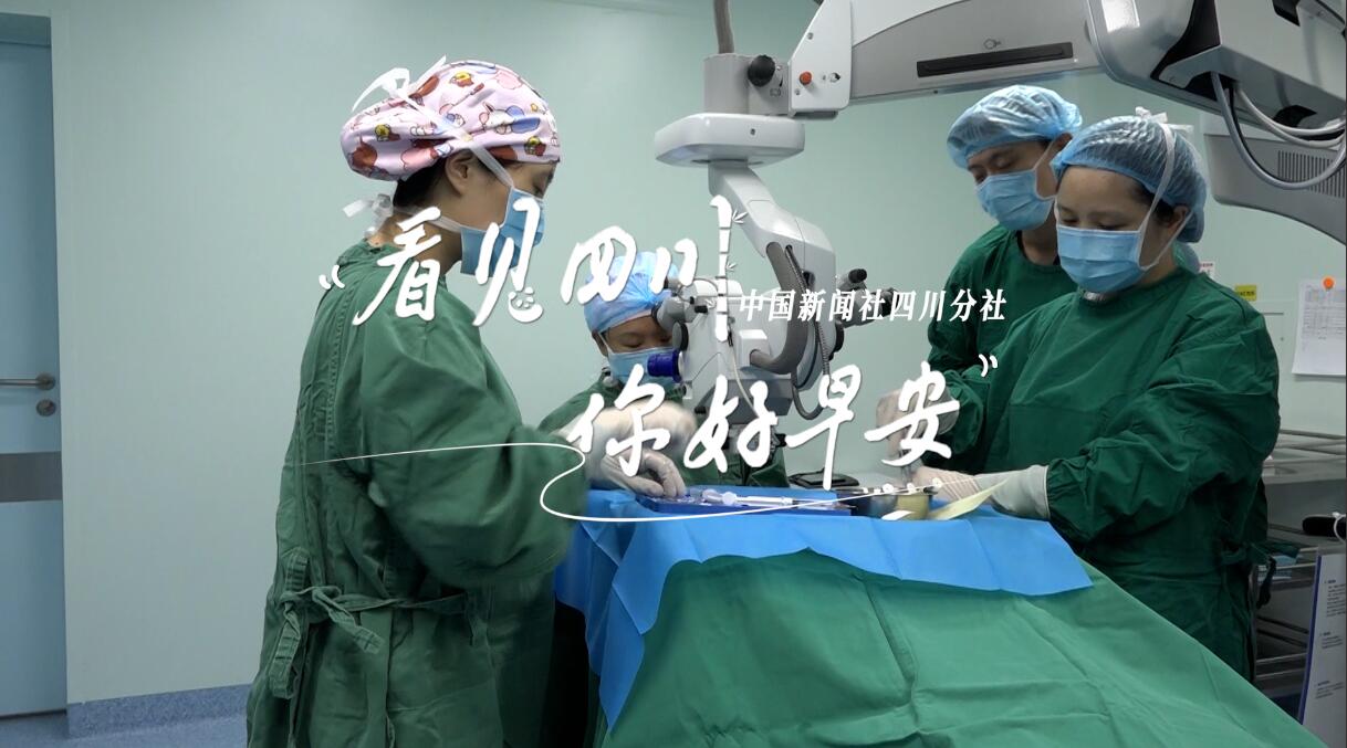 洁白的花朵缀满枝头