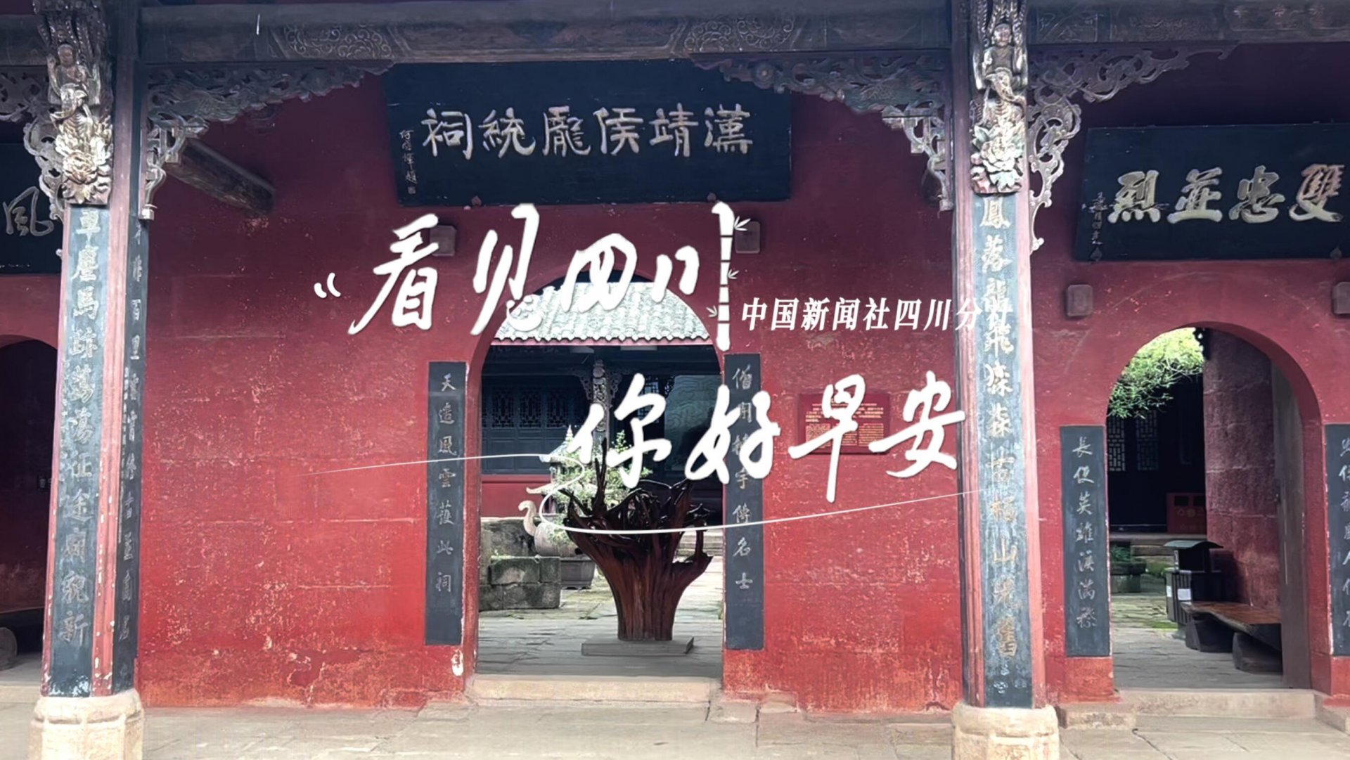 不少游客慕名前来乘坐和踏青赏花