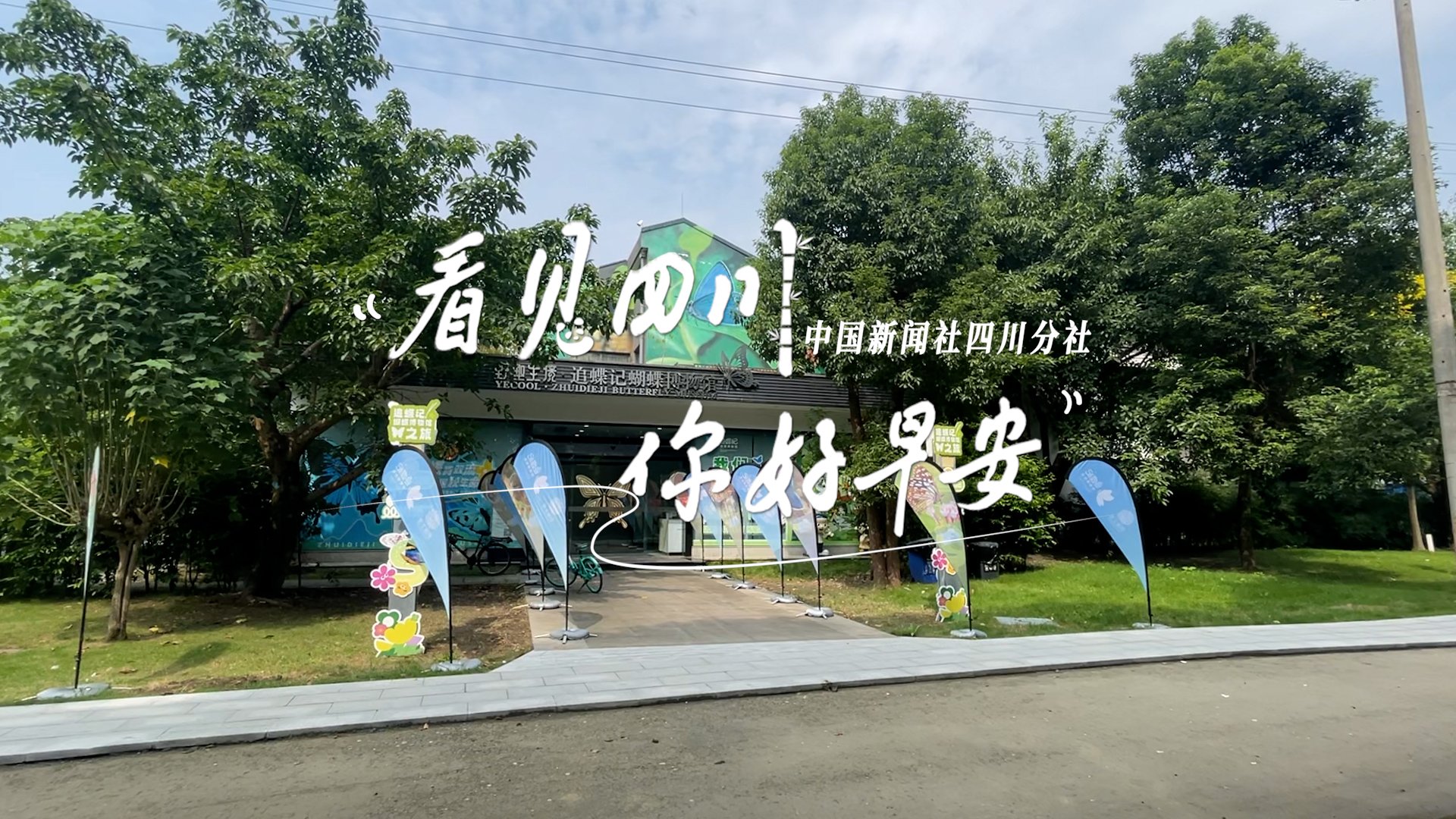 持续开放至第二季度