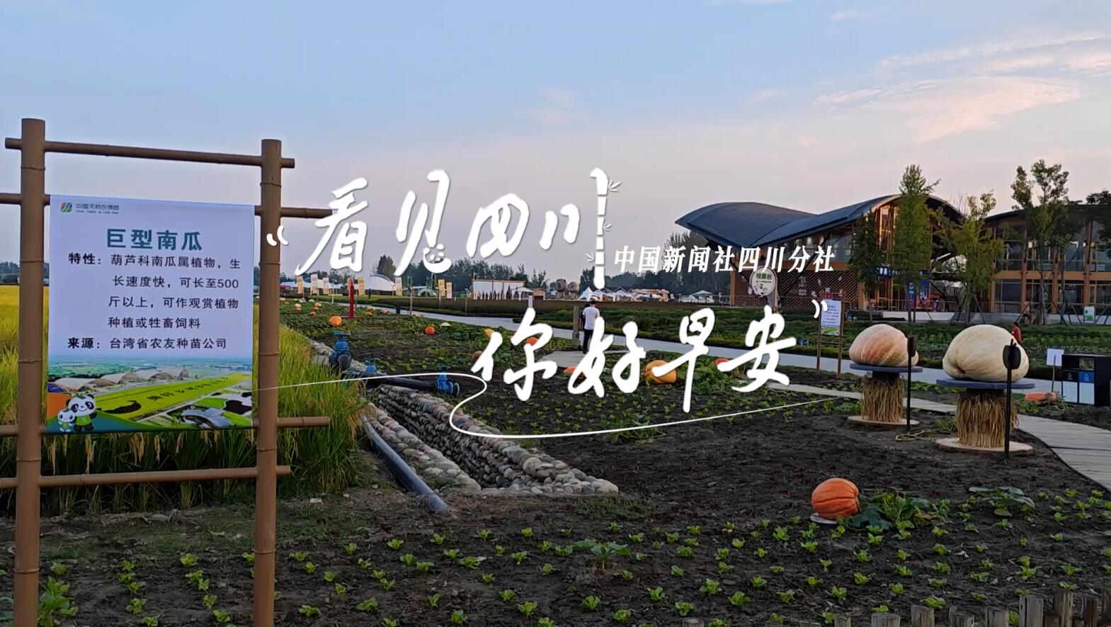 一串串花朵如风铃般相依相偎