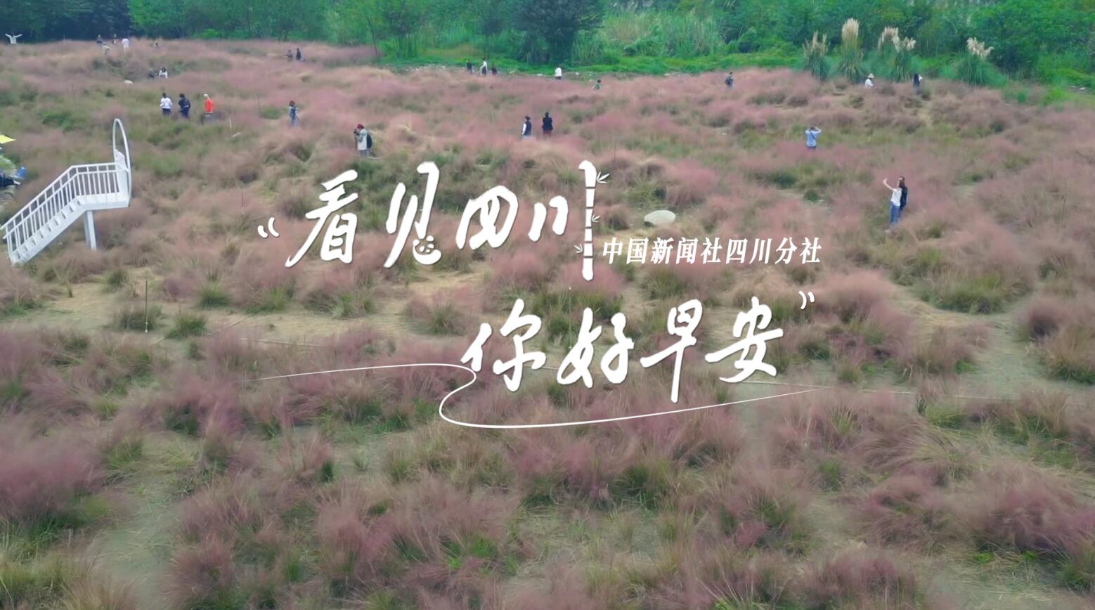毛茸茸的