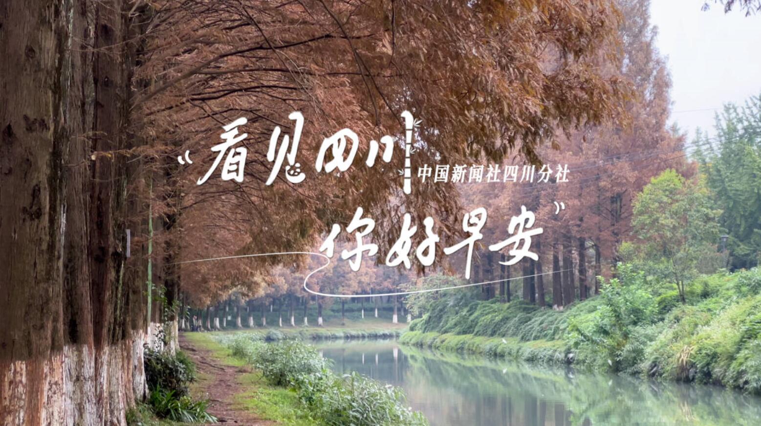 盈盈彩app下载限时优惠崇州黎坝村油