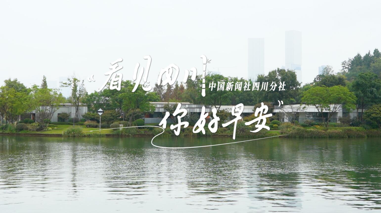 漫山遍野宛若雪海