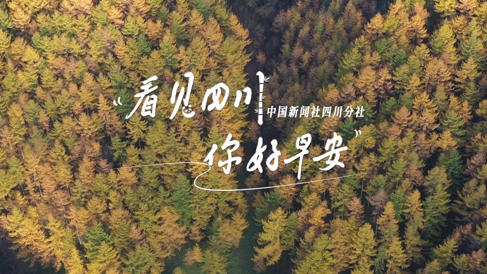 解说今天