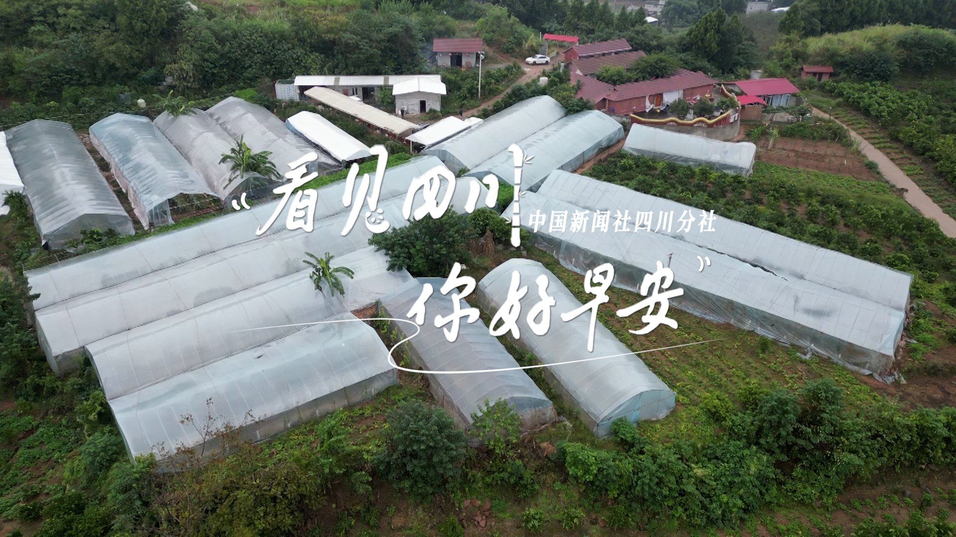 青石板路与古宅院落尽显温润春意