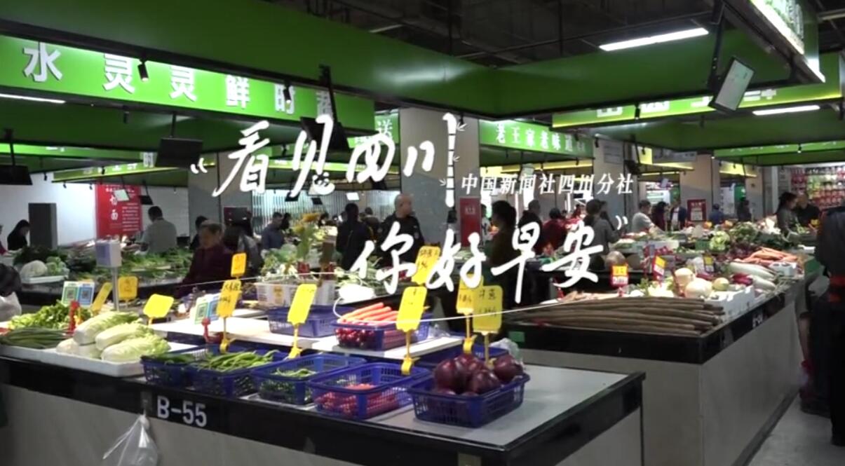 金山村温室大棚里黑褐饱满的羊肚菌破土