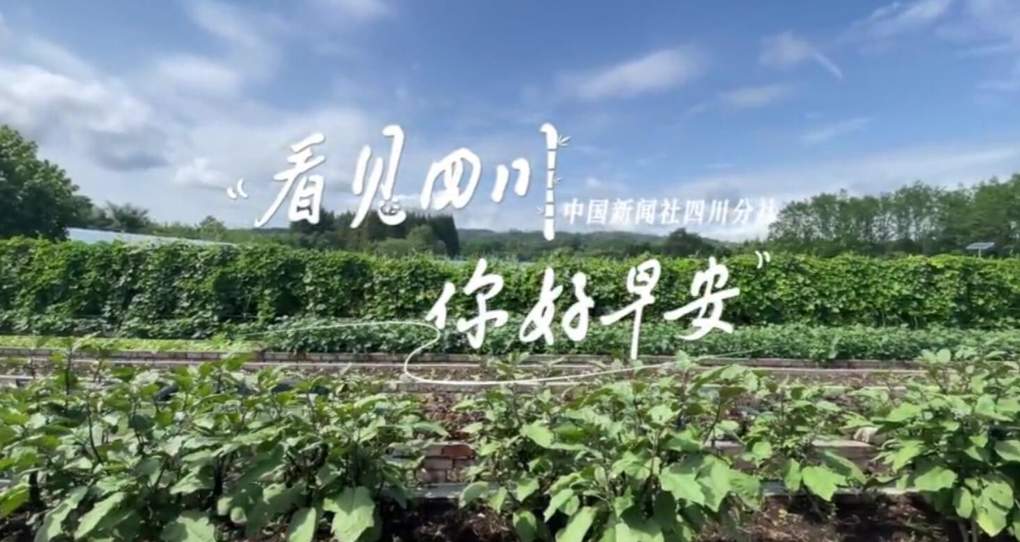 同题参见看见盈盈彩app下载限时优惠