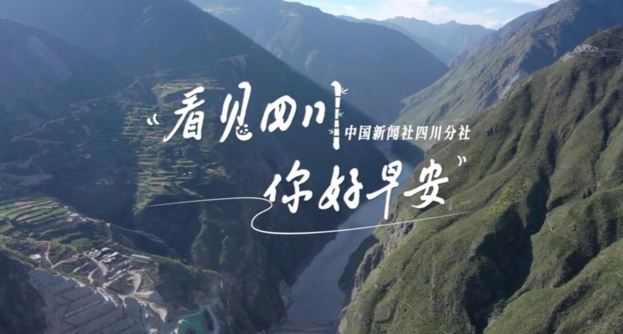 盈盈彩app官网