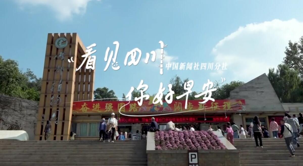 一芽一芽往外窜