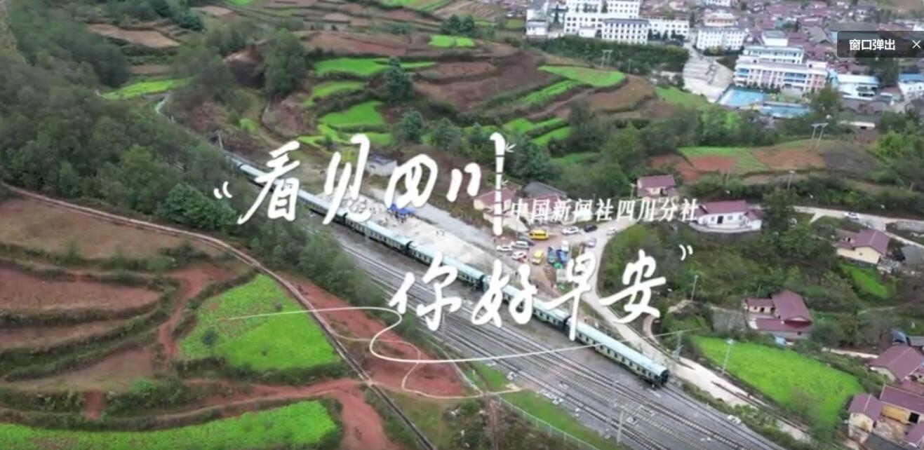 雅安雨城区茶山上的茶树正冒新芽