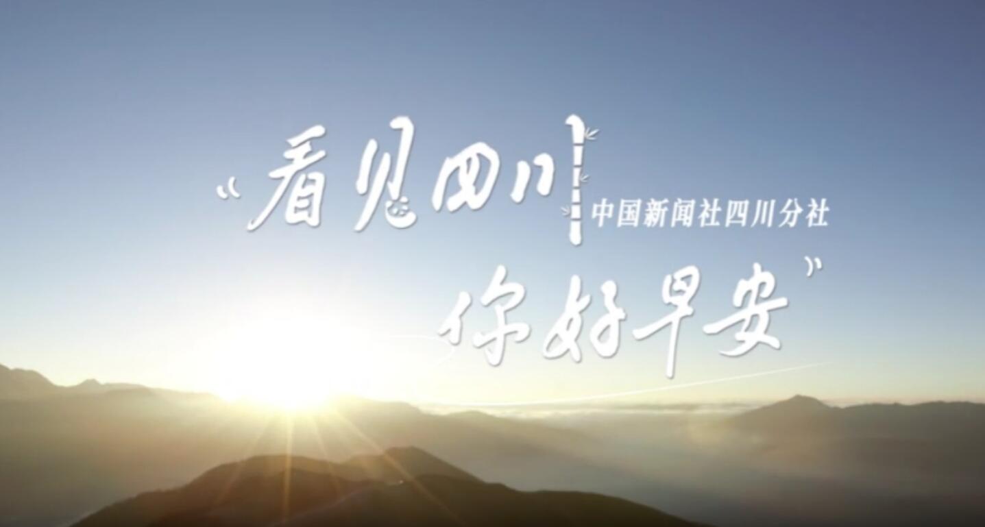 繁花缀满枝头