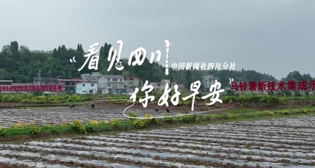 不少游客慕名前来乘坐和踏青赏花