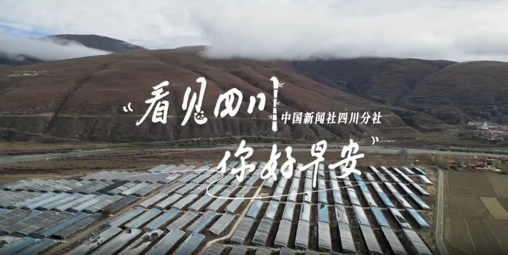 持续开放至第二季度