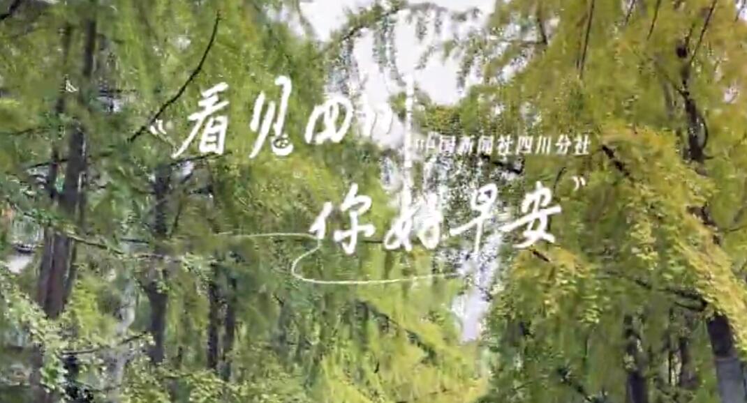 一串串花朵如风铃般相依相偎