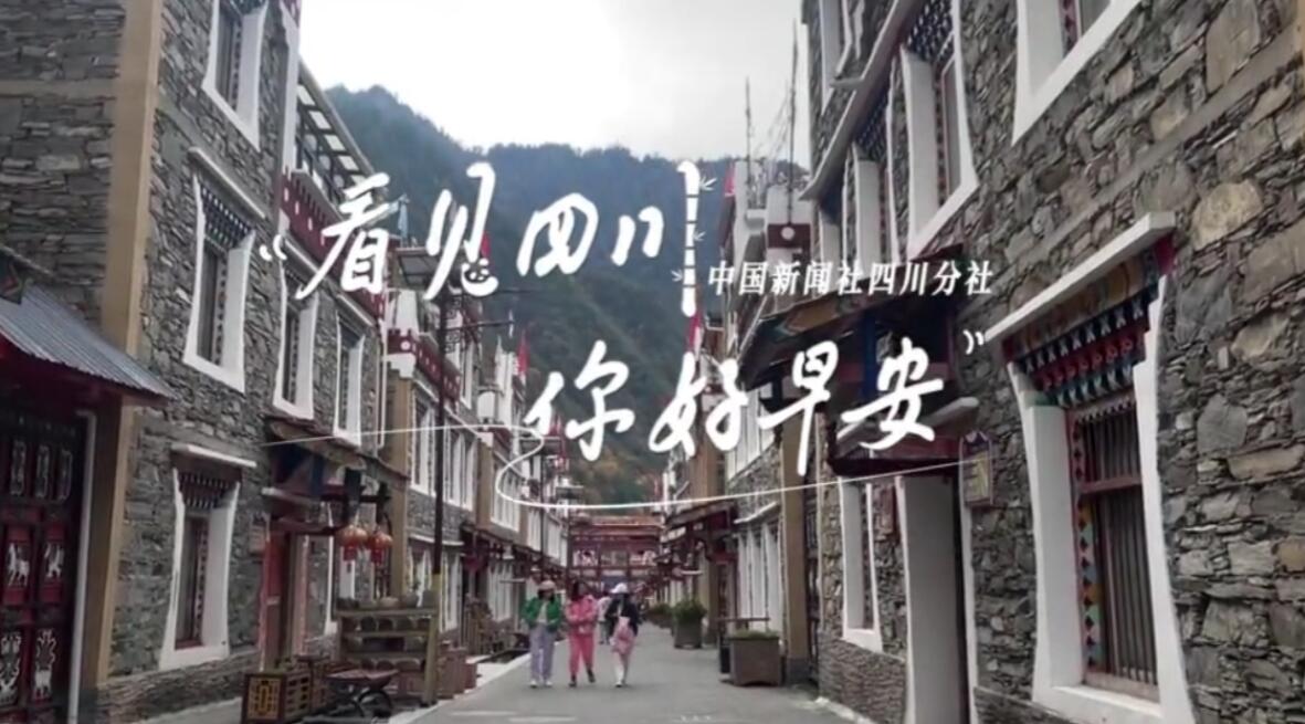 粉白花朵绽放在古寺院落