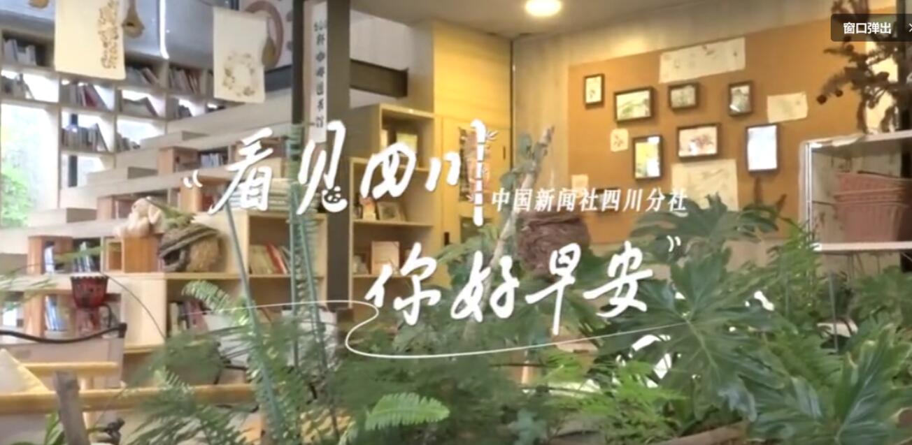 解说雅安市名山区的茶山迎来了最富生机