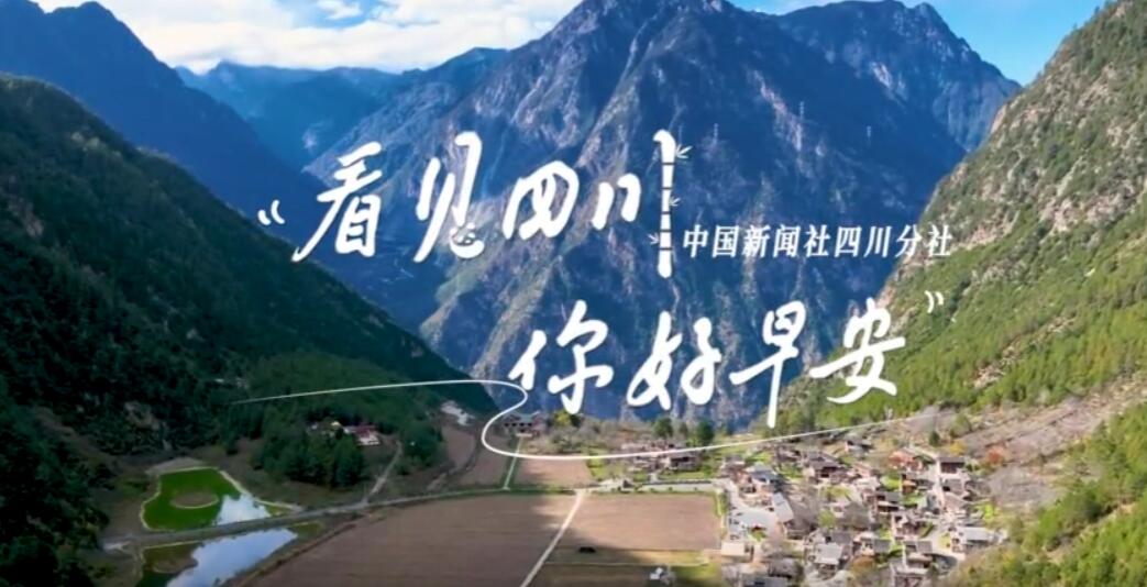 盈盈彩app下载限时优惠
