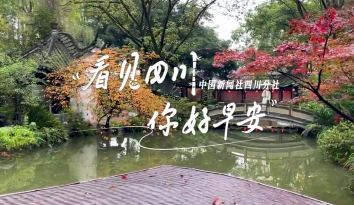 毛茸茸的