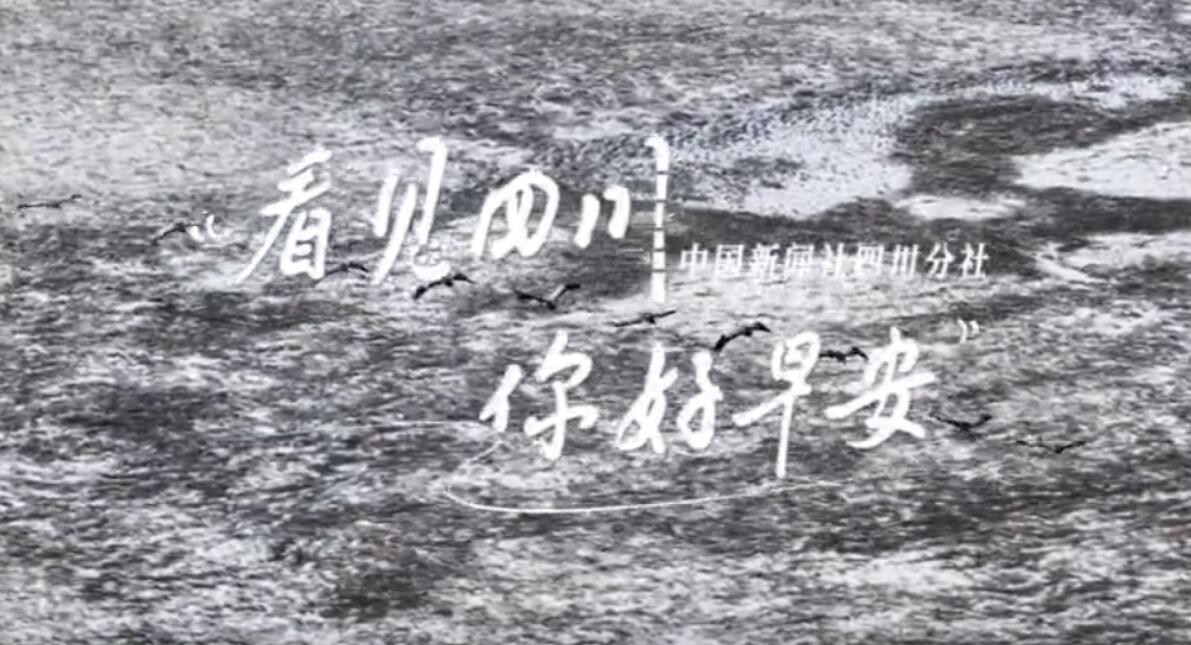 广元市朝天区沙河镇樱花谷上万亩樱桃花