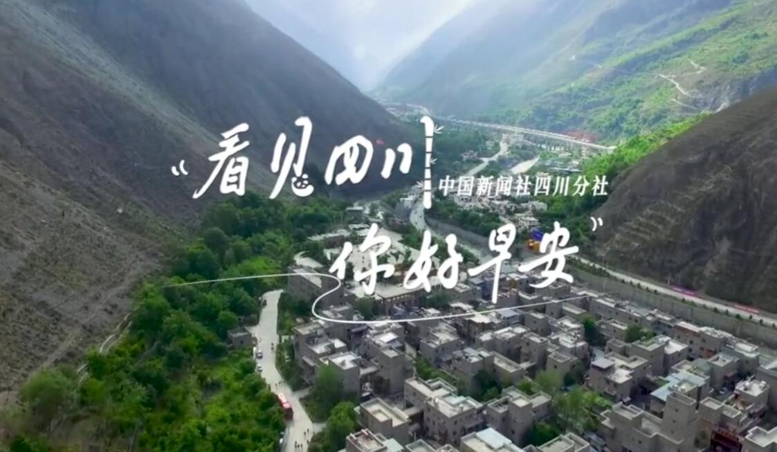 解说今天