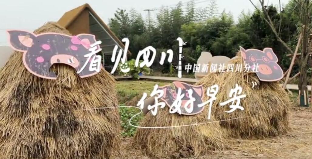 青石板路与古宅院落尽显温润春意