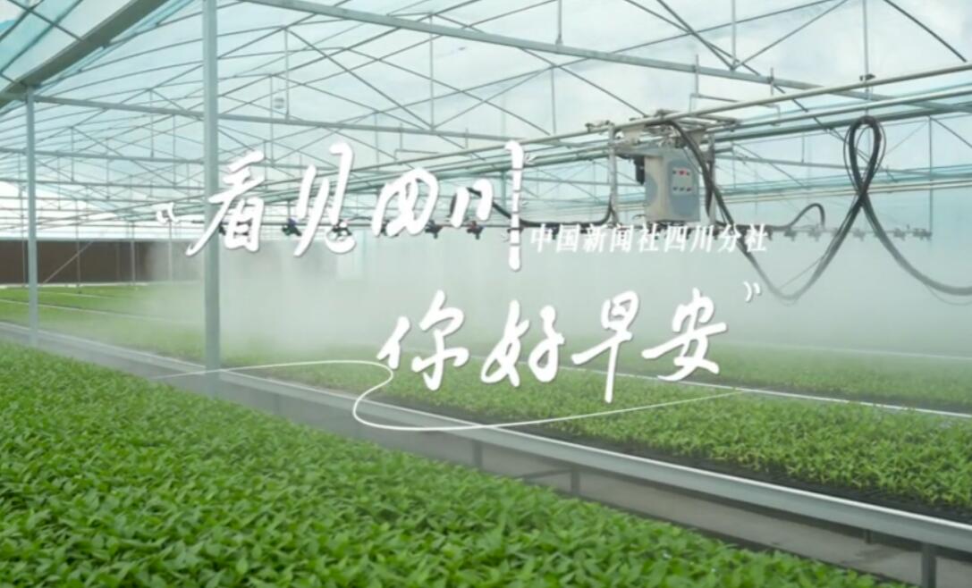 与锦绣天府电视塔的现代剪影相映成趣