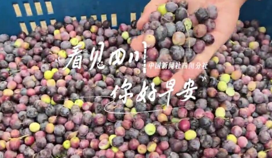 解说你看