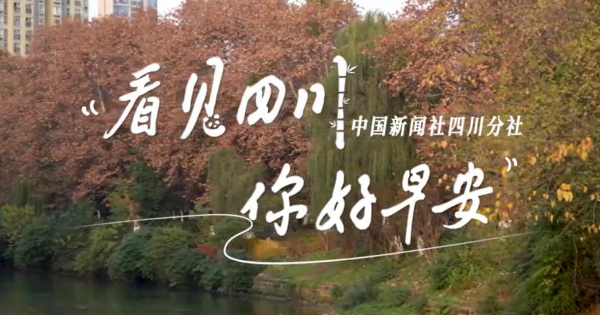 盈盈彩app官网