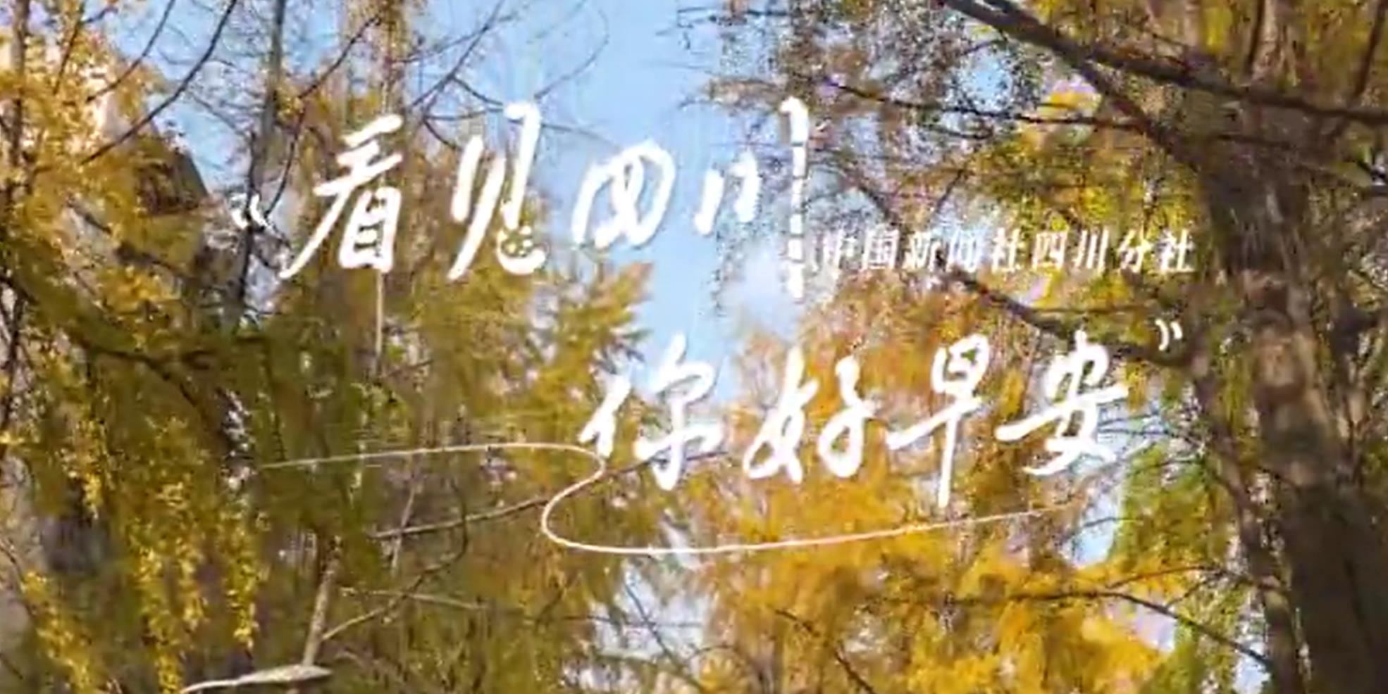 游客在花海中一边欣赏美景