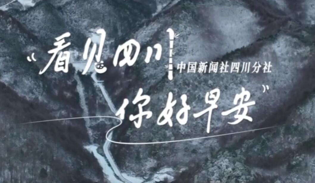 数十张火锅桌错落有致地摆放在花海中