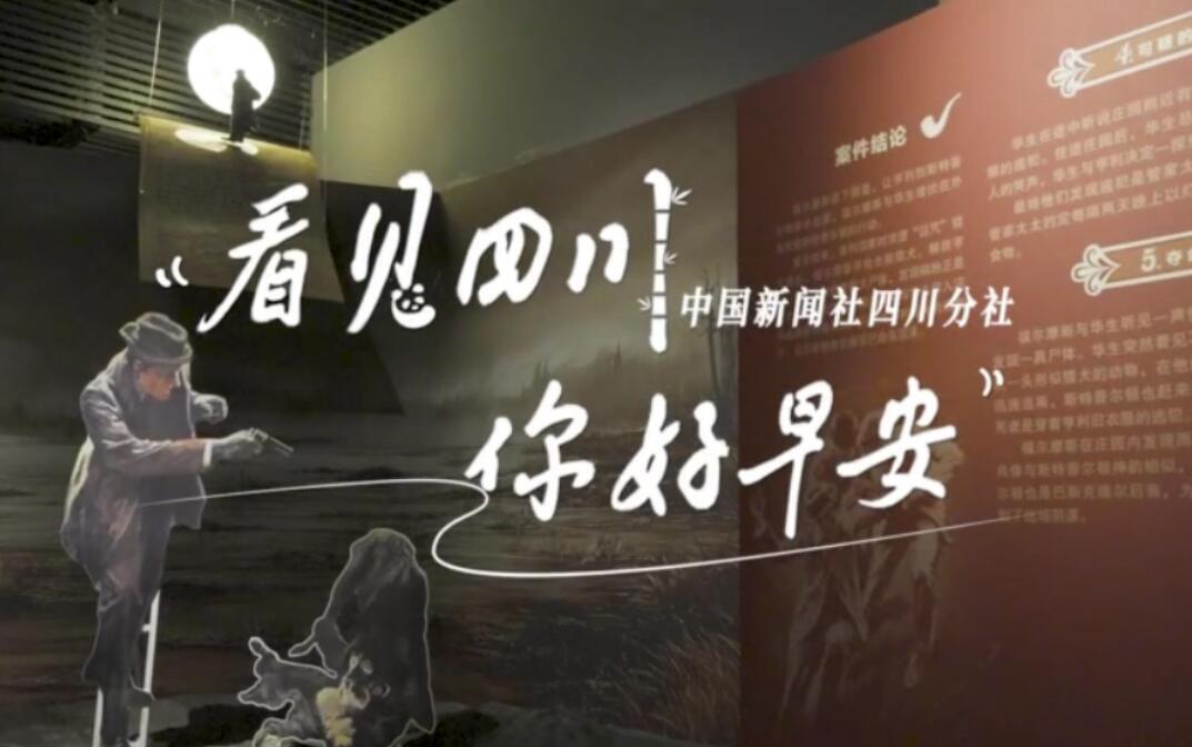解说雅安市名山区的茶山迎来了最富生机