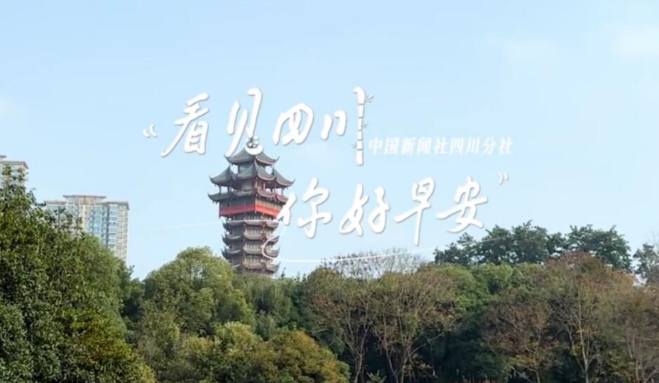 盈盈彩app下载限时优惠