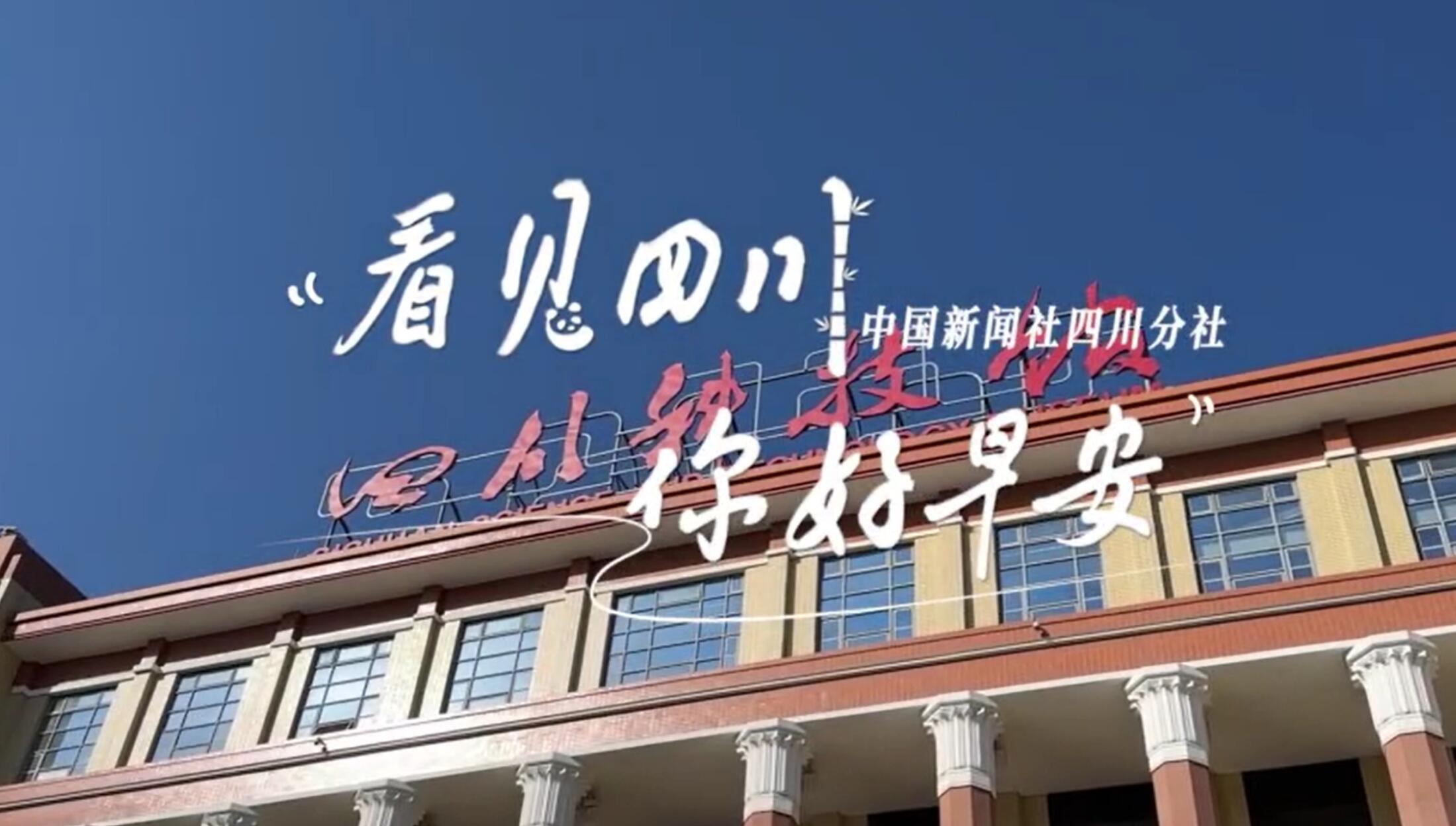 列车与盛放的油菜花构成一幅灵动的春日