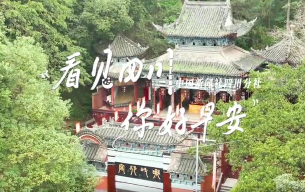 解说雅安市名山区的茶山迎来了最富生机
