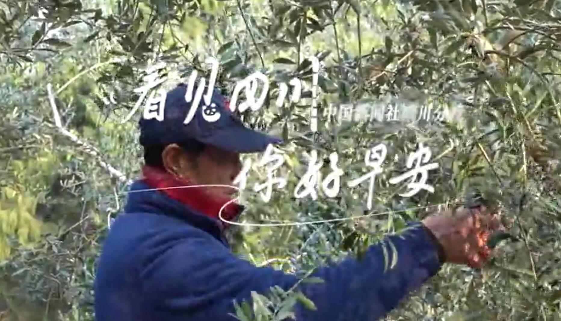 打造出一道花田火锅消费场景