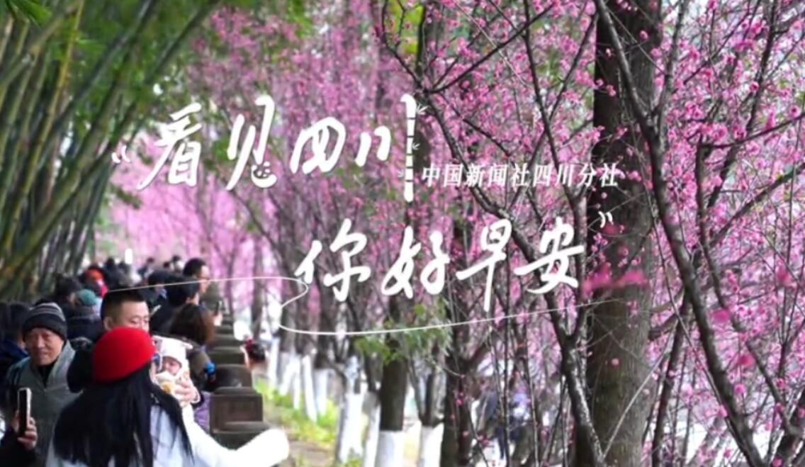 盈盈彩app下载限时优惠崇州黎坝村油