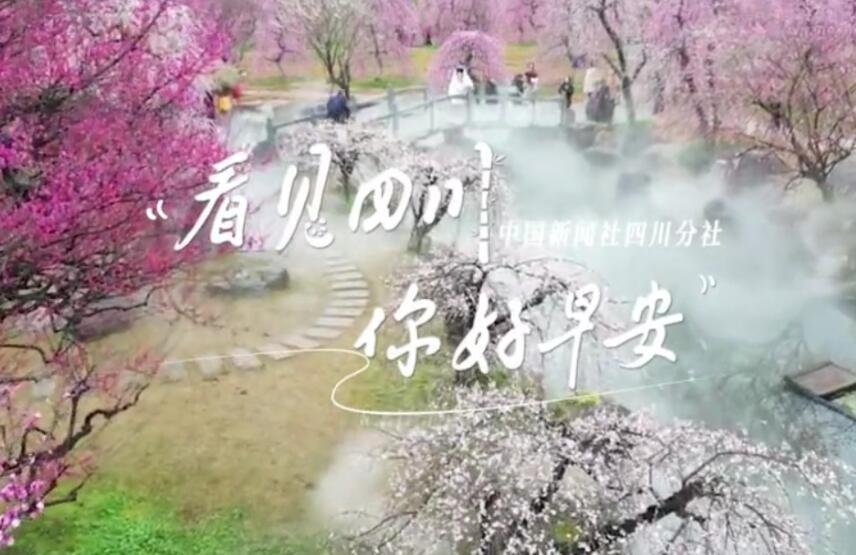 满足游客赏灯游玩的需求